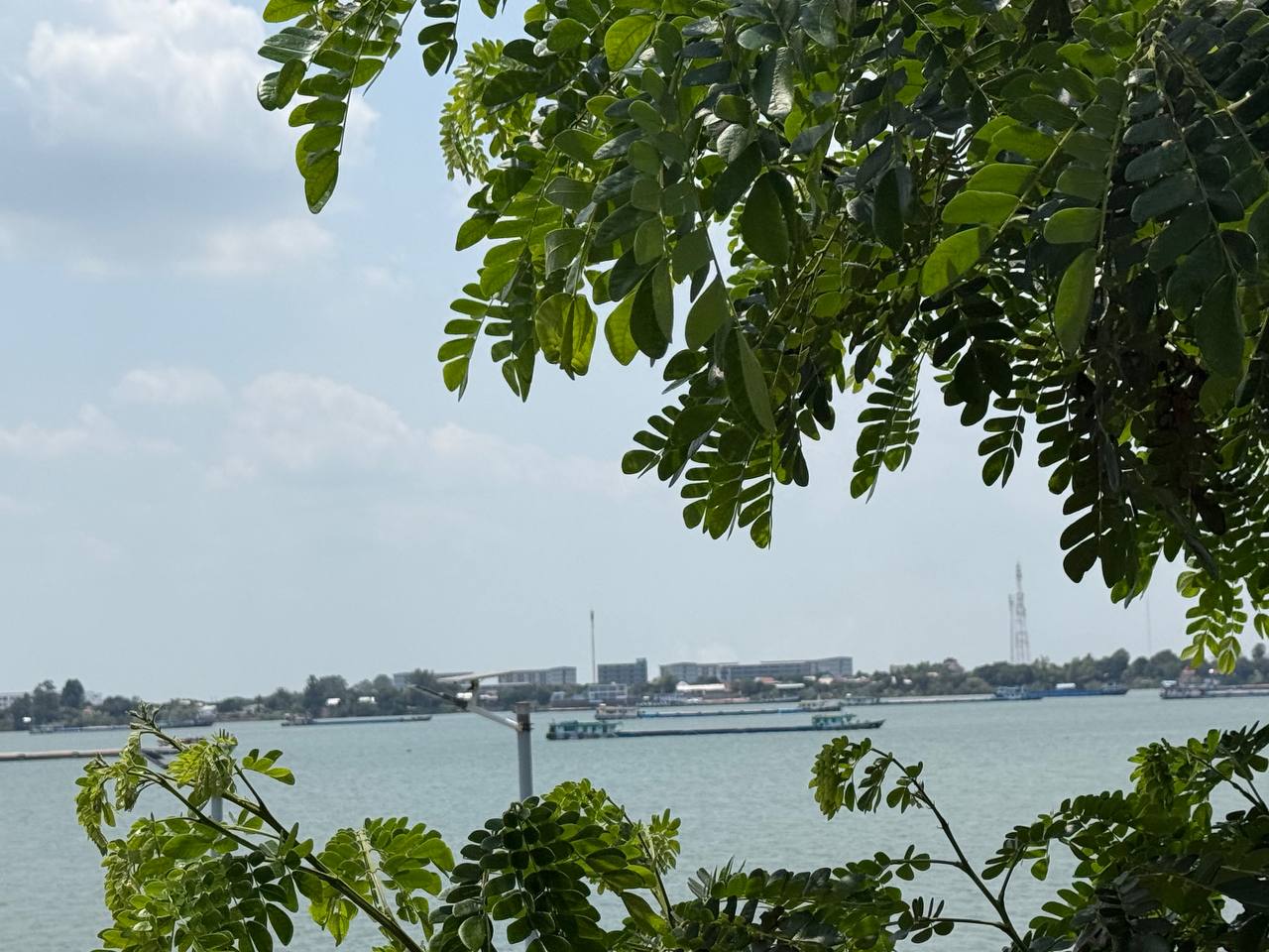 A view across the water framed by leafy branches